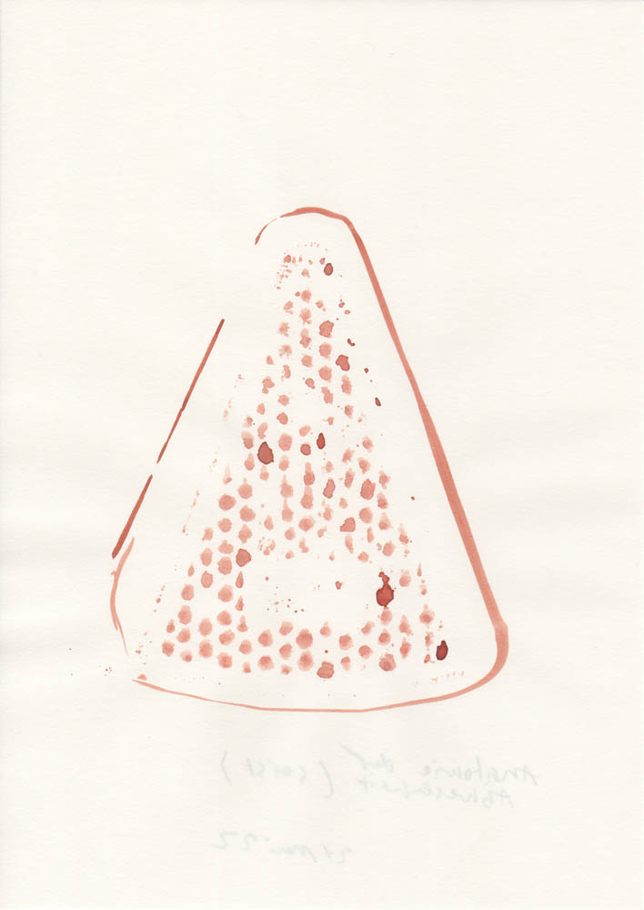 Carolin von den Benken drawing