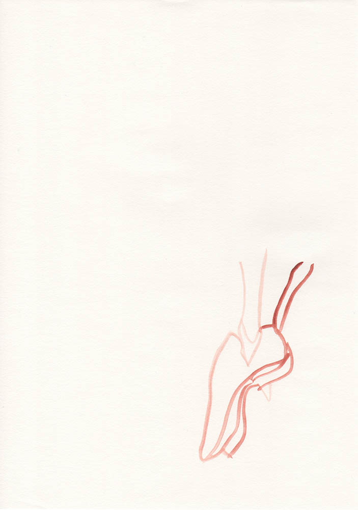 Carolin von den Benken drawing