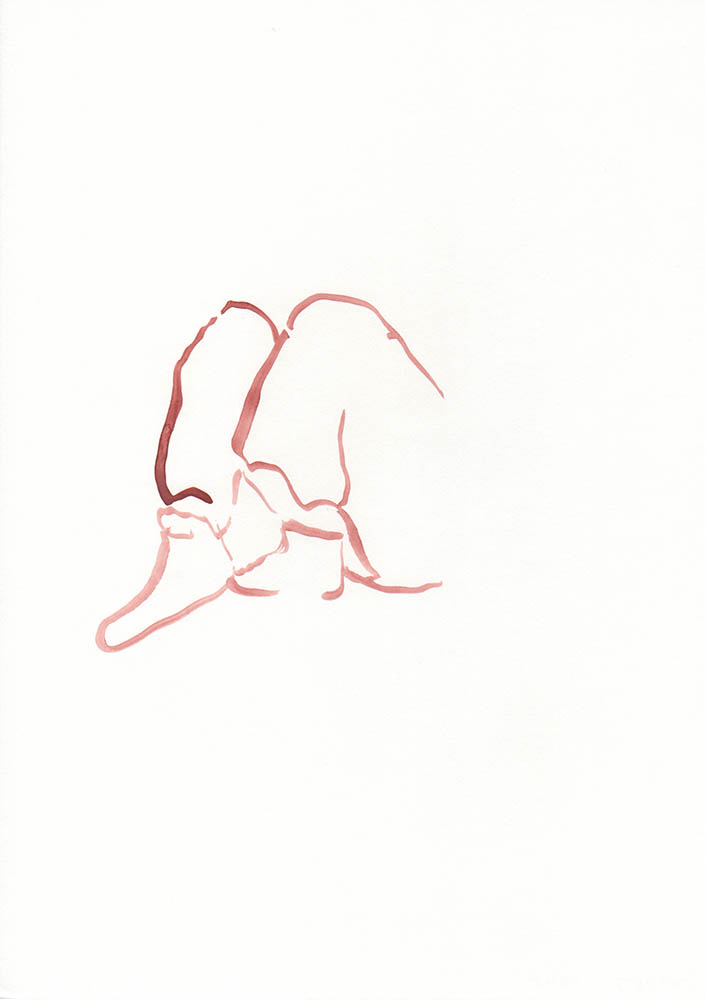 Carolin von den Benken drawing