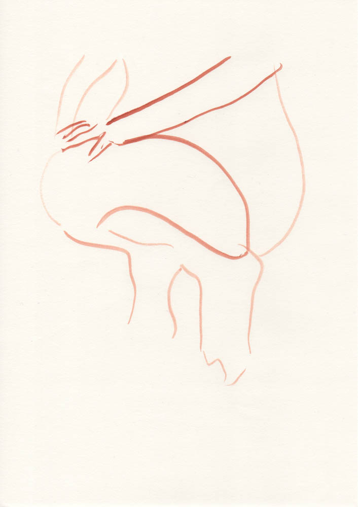 Carolin von den Benken drawing