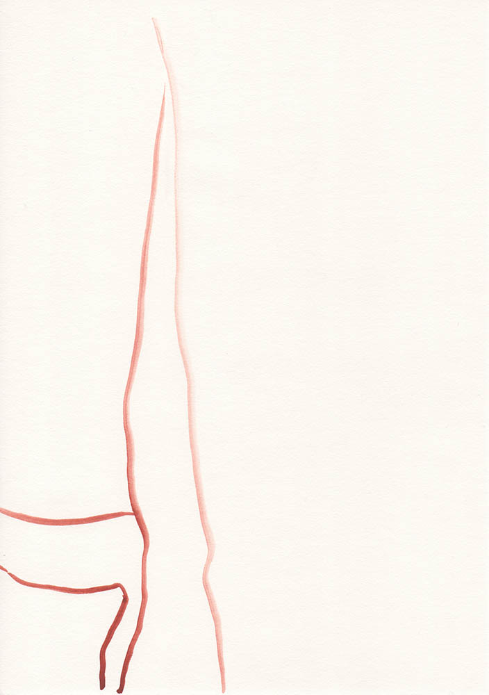 Carolin von den Benken drawing