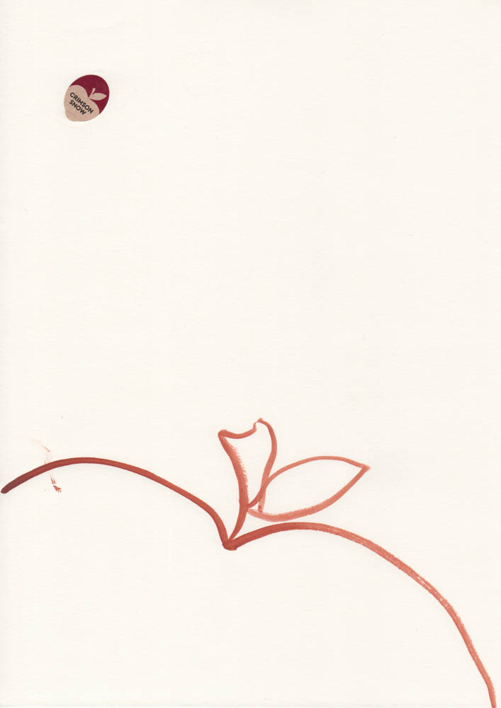 Carolin von den Benken drawing